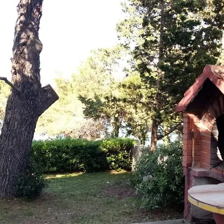 Apartmán Zvonko *